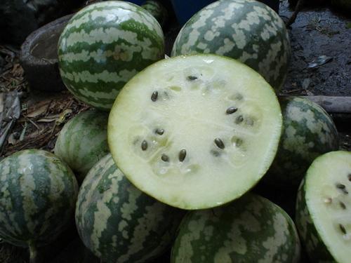 佛秀瓜怎么吃,解锁健康美味新体验